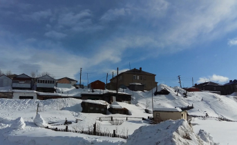 Серийный вор Дома