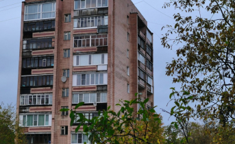 Северянку с окровавленным ножом задержали в Мурманской области Дом