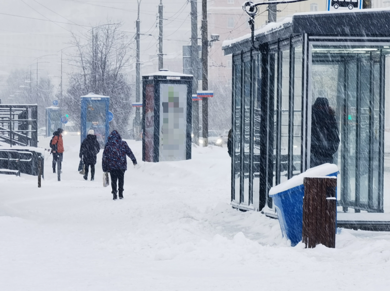 Поймали преступников в Мурманской области Мурманск