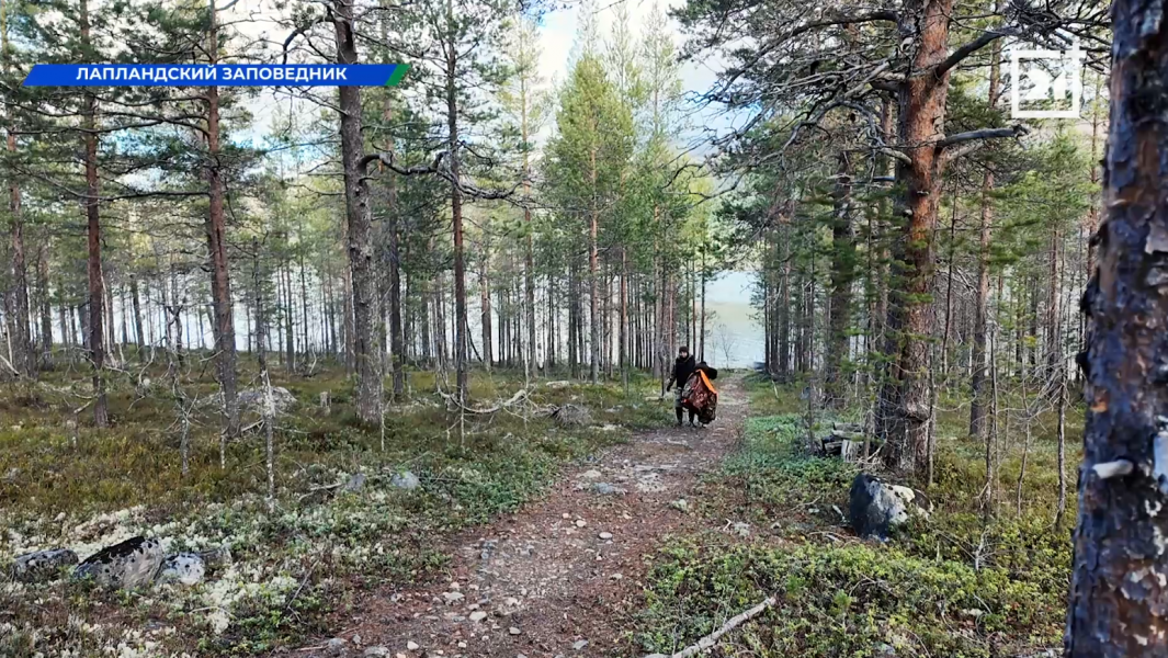 Домик