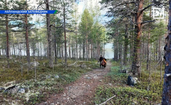 Домик