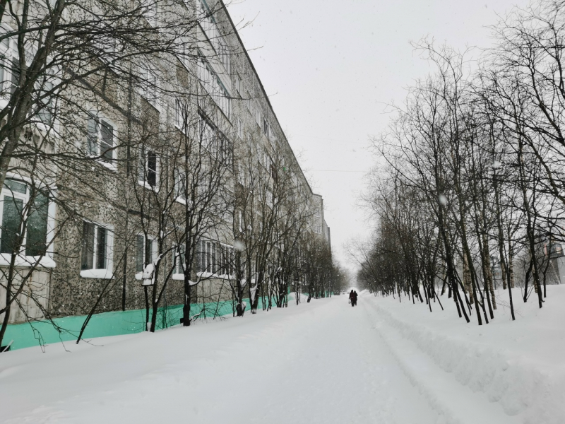 Апатиты