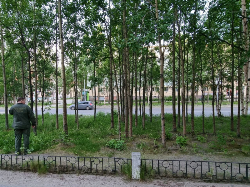 Следком