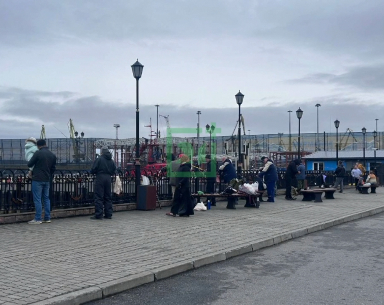 Рыбалка удалась. Нашествие рыбаков заметили в центре Мурманска Люди