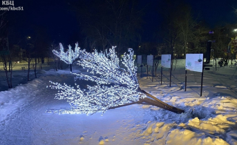 Новогоднее дерево
