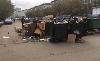 В Мурманске на Героев-Североморцев, 59 появился мусорный кошмар Мусор