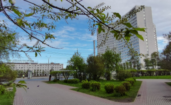 Стала известна программа масштабного праздника в Мурманске Мурманск