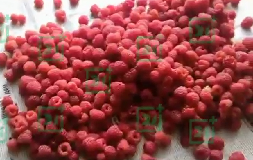 Малиновый урожай Малина