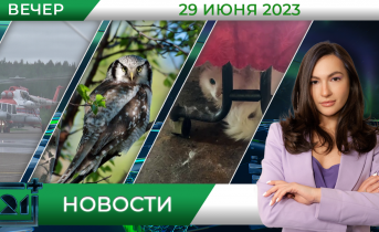 Полное видео программы «Новости» Новости