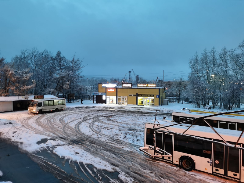 Автобусы