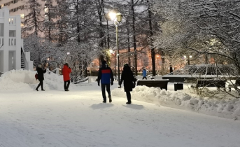 Сертификат переболевших COVID-19 в России планируют продлить Мурманск