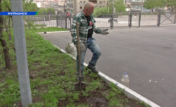 Дворник