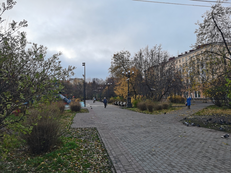 В Мурманске проводится проверка после происшествия на охраняемом объекте Мурманск