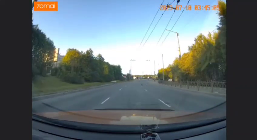 Необычного нарушителя заметили в Мурманске Дорога