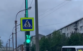 В Мурманске появились необычные светофоры Светофоры