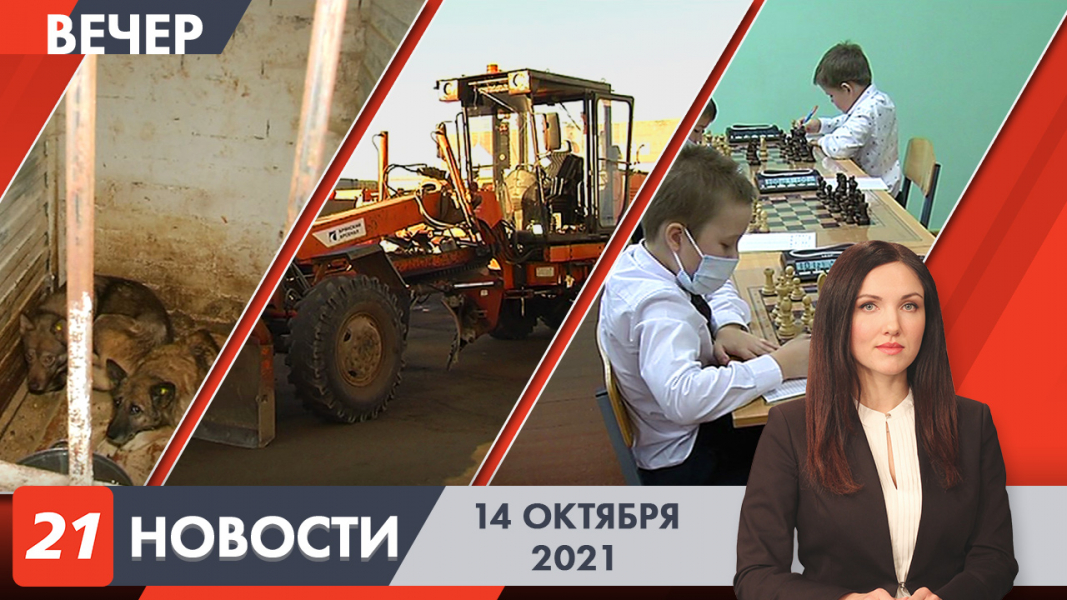 Вечерние новости