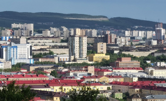 В Мурманске рассказали об опасной вирусной инфекции Панорама города Мурманск: здания, дома, улицы