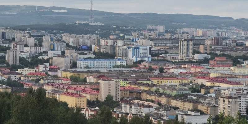 В Мурманске разоблачили контактный зоопарк. Животные были в плохих условиях Мурманск