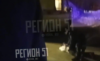 Нападение на прохожего Драка