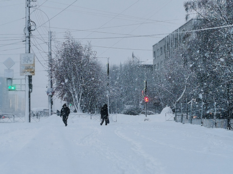 В Мурманской области продолжается рост заболеваемости Люди, ОРВИ