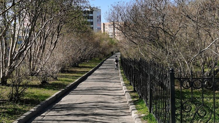 В Мурманской области прекратили поиски 15-летнего подростка Улица