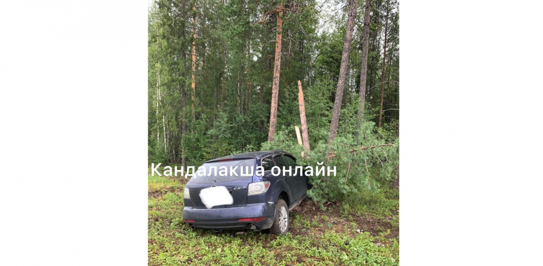 Иномарка вылетела с дороги в Мурманской области ДТП