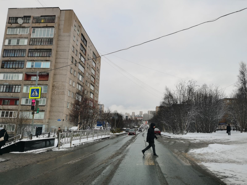 Агрессивный турист устроил шоу в мурманском заведении Человек