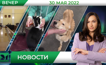 Полное видео программы «Новости» Полное видео программы «Новости»