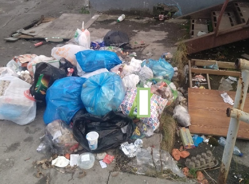 В Мурманском дворе местные жители устроили свалку Свалка