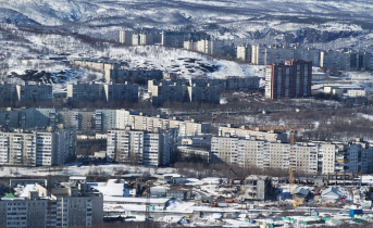 Ночная покупка обернулась для мурманчанина большими неприятностями Мурманск