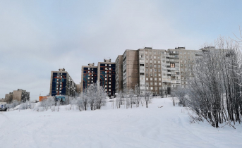 Ситуация со спящим соседом закончилась уголовным делом в Мурманской области Мурманск