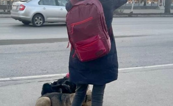 В Мурманске нашли пропавшую девушку с собаками Пропавшая девушка