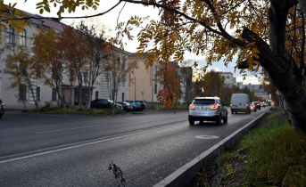 Тревожная тенденция вырисовывается в Мурманской области Дорога