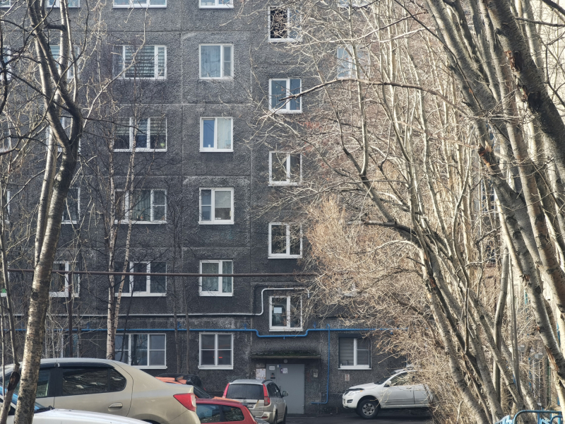 Нашествие опаснейших гостей в мурманском доме сняли на видео Дом