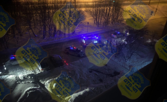 На мурманчанку с пистолетом завели уголовное дело Стрельба