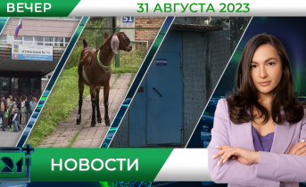 Полное видео программы «Новости» Новости