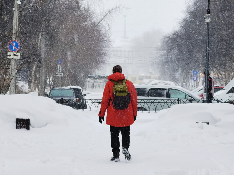 Житель Мурманской области потерял 7 млн рублей Люди