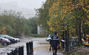 Мурманчанину грозит длительное тюремное заключение Мурманск, человек, осень