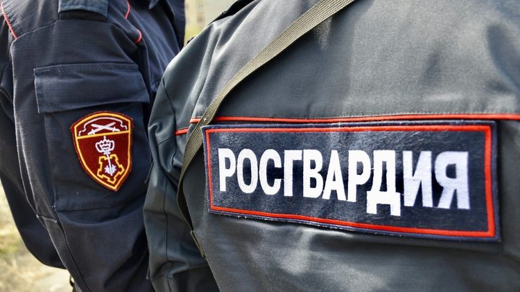 Росгвардия задержала водителя, Мурманская область Росгвардия