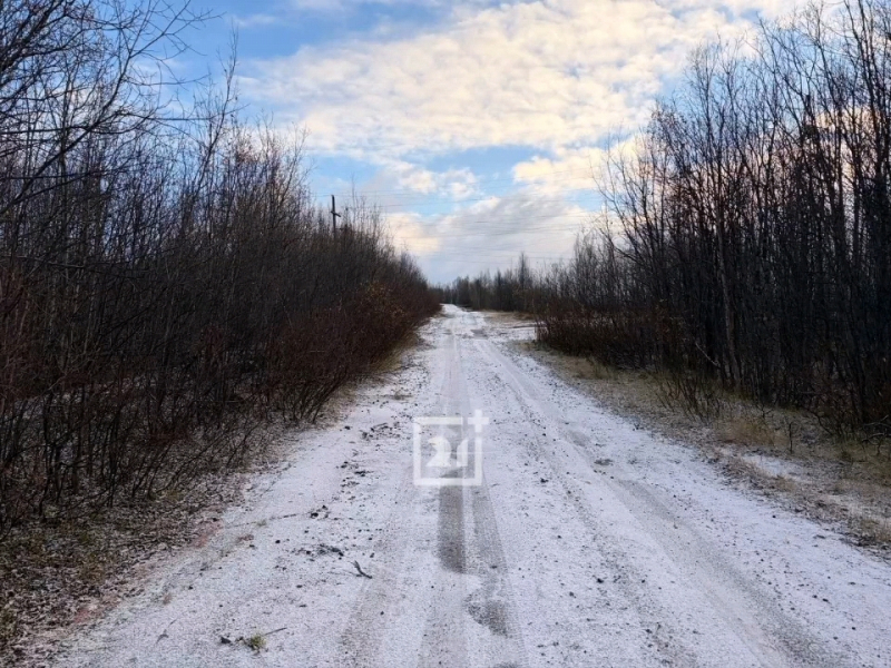 Снег