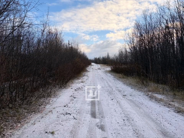 Снег