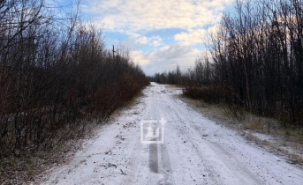 Снег