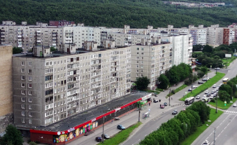 Северянина могут посадить на 3 года из-за прописки в Мурманске Мурманск