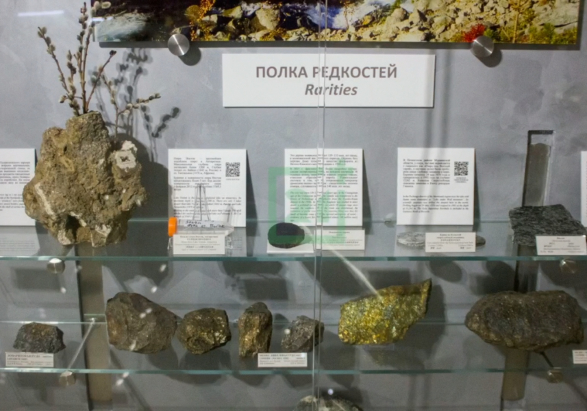 Экспонаты
