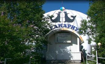 Задолженность перед сотрудниками мурманского океанариума погашена Океанариум