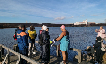 В Мурманске на Семеновском озере прошел заплыв моржей Моржи