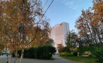 В Мурманской области рассказали о материальной помощи для северян Мурманск