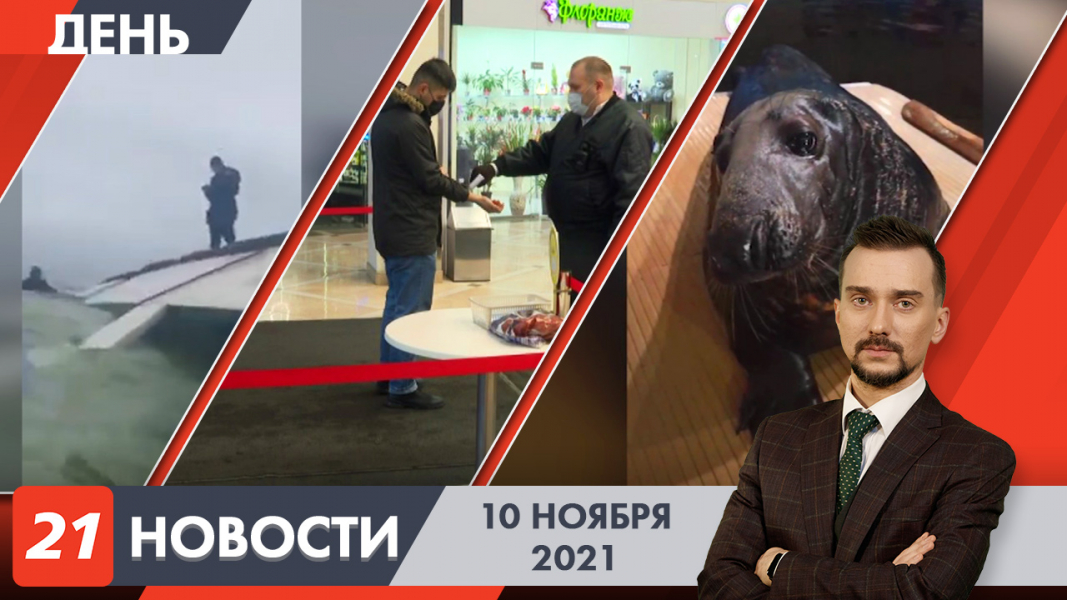 Дневные новости