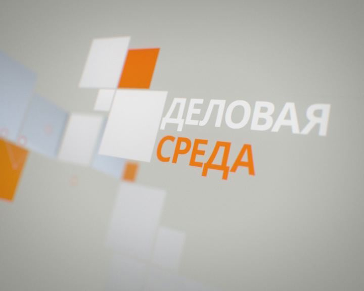 Деловая среда
