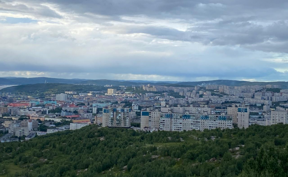 Прятали еду и убегали, фото Мурманск